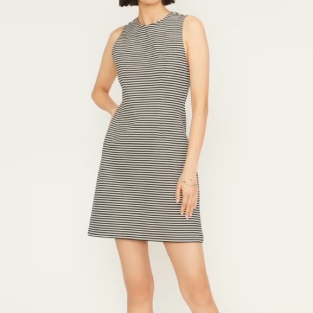 Everlane The Dream Shift Dress